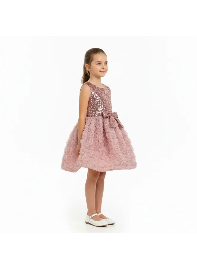 Bidani Girls’ Rose Sequin Party Dress